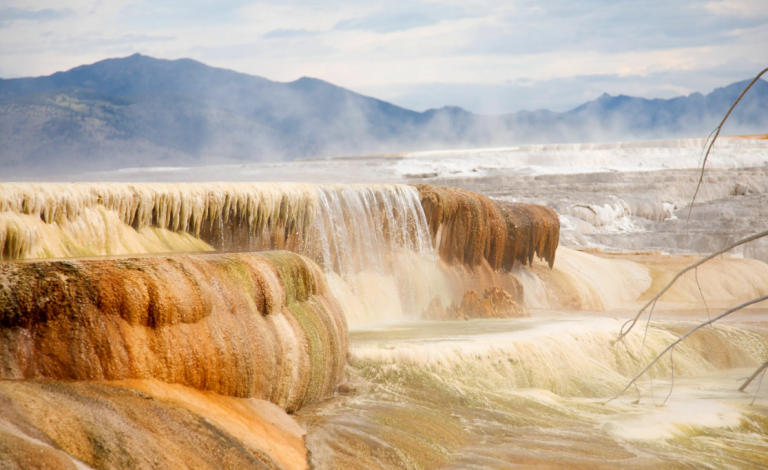 Exploring the Natural Marvel of Mammoth Hot Springs